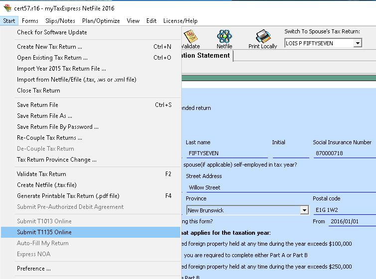 T1135 filing online